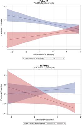 Western and non-western leadership styles and employee wellbeing: a case of a high-power distance context